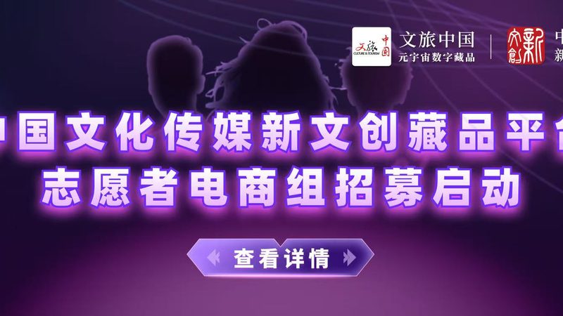 短视频代运营：揭秘优质案例的寻找之道